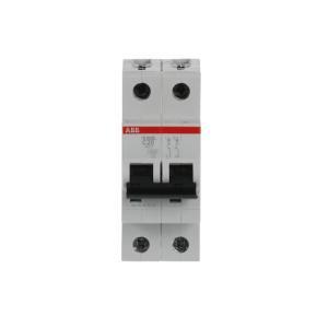 Interruttore automatico s202l-c20 4,5ka 2p  s598491