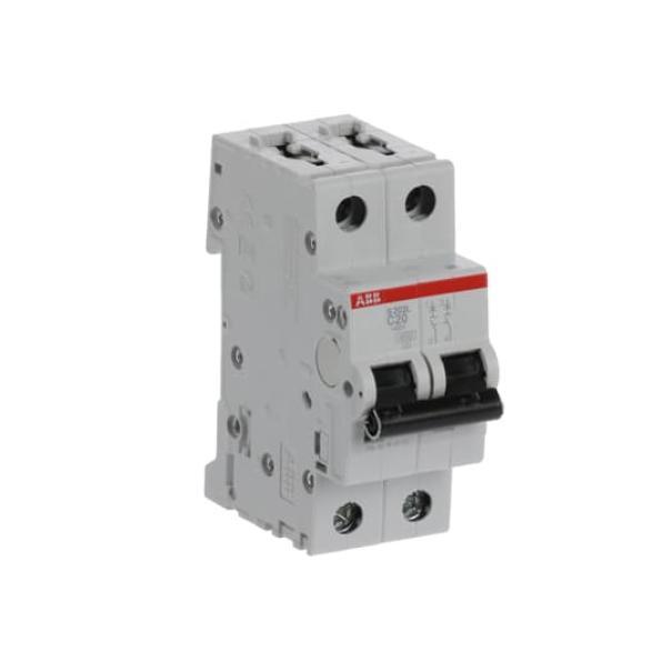 Interruttore automatico S202L-C20 4,5KA 2P Abb S598491