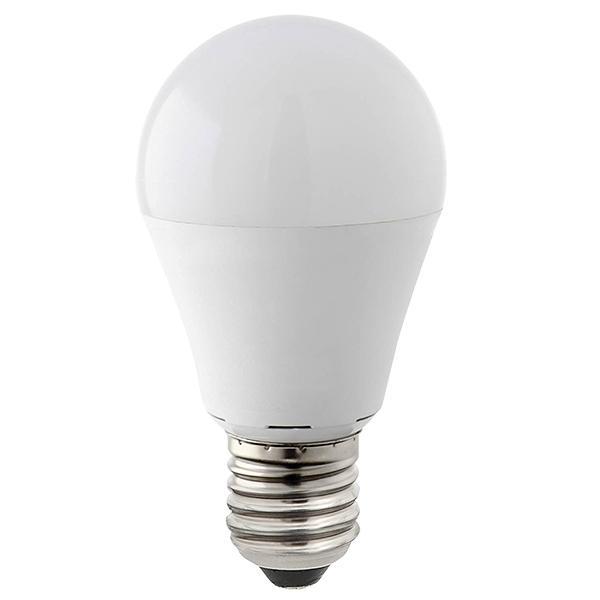 Lampadina LED 10W 12-24V DC890LM luce naturale Iolume IOLL10WE27MVN