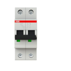 Interruttore automatico magnetotermico s202 c 6 6ka 2p  s465502